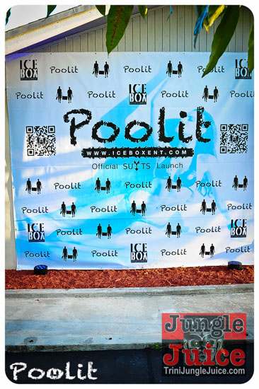 poolit_2013-002