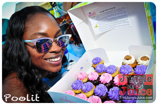poolit_2013-040