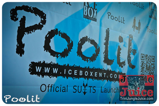 poolit_2013-060