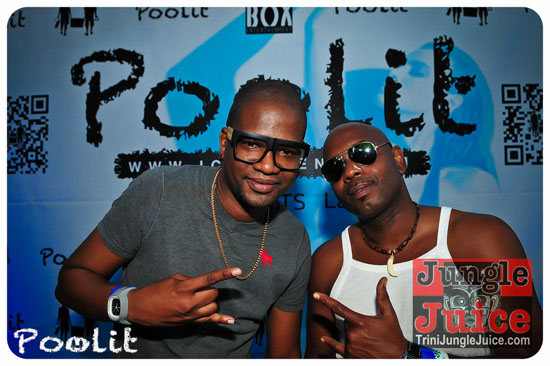 poolit_2013-070