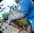 spicemas_jouvert_2013_pt1-228