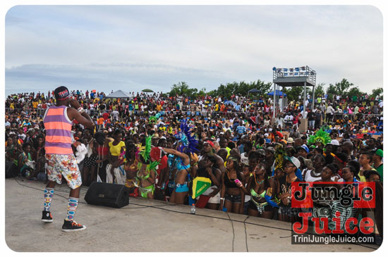 houston_parade_2013-216