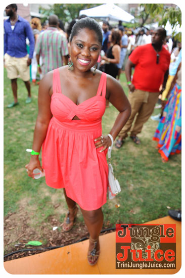 amnesia_2013-070