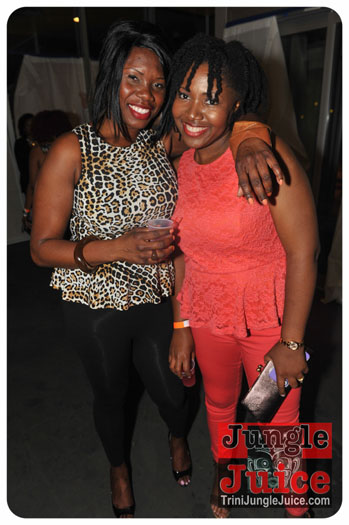 verve_2013-163