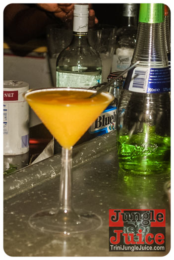 stush_jul4-013