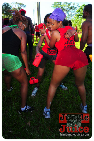 am_bush_2013-181