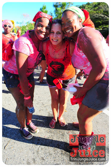am_bush_2013-190