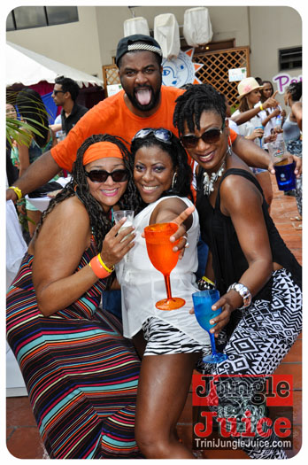 am_premium_2013-089