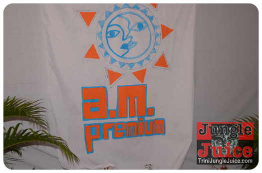 am_premium_2013-114