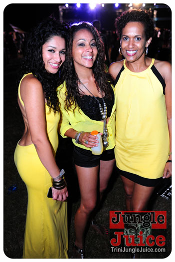 beach_house_carnival_2013_part3-200