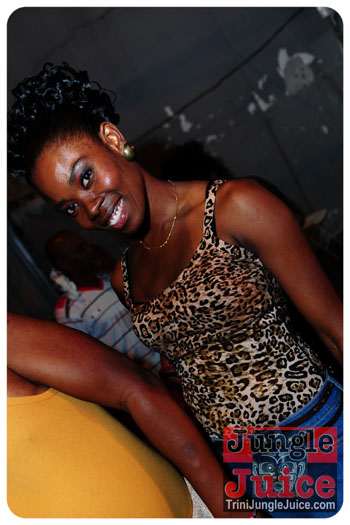 central_bank_all_inclusive_2013-250
