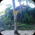 international_coastal_clean_up_sep21-006