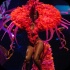 island_people_2014_band_launch-189