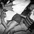 roast_cruise_trinidad_2013-258