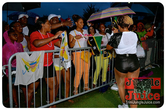 va_caribfest_parade_2013_pt1-223