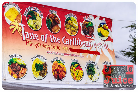 va_caribfest_parade_2013_pt2-107