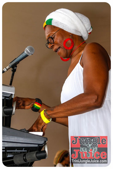 va_caribfest_parade_2013_pt2-122