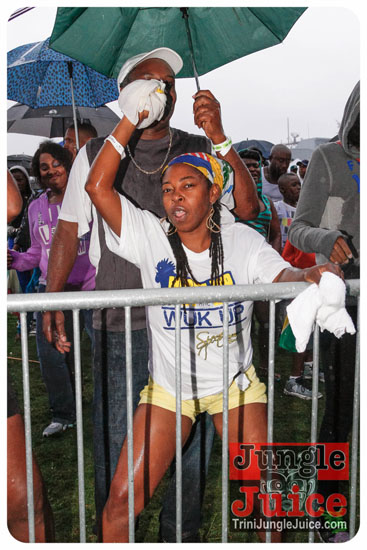 va_caribfest_parade_2013_pt2-264