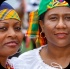 va_caribfest_parade_2013_pt2-153