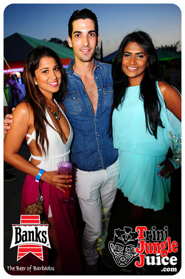 bliss_2014-089