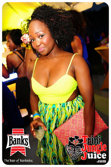 bliss_2014-091