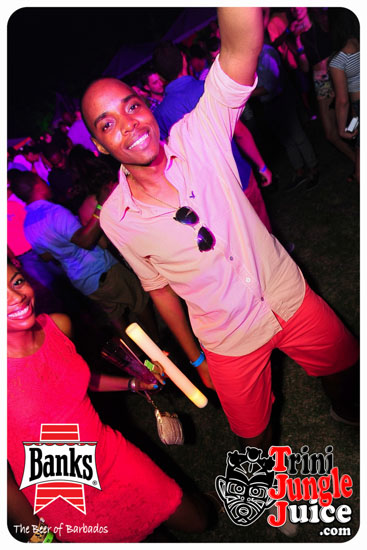 bliss_2014-129