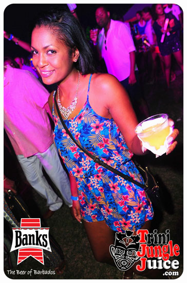 bliss_2014-130