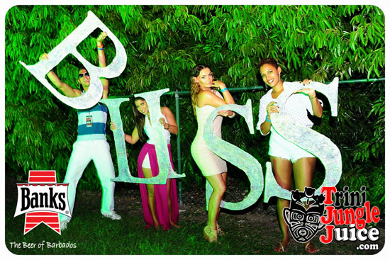 bliss_2014-149