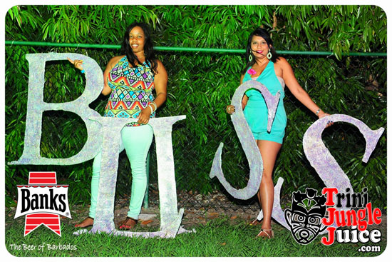 bliss_2014-152