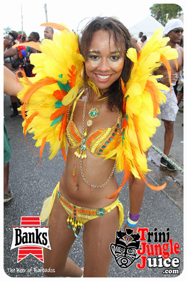 kadooment_day_2014_pt1-247