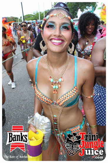 kadooment_day_2014_pt1-249