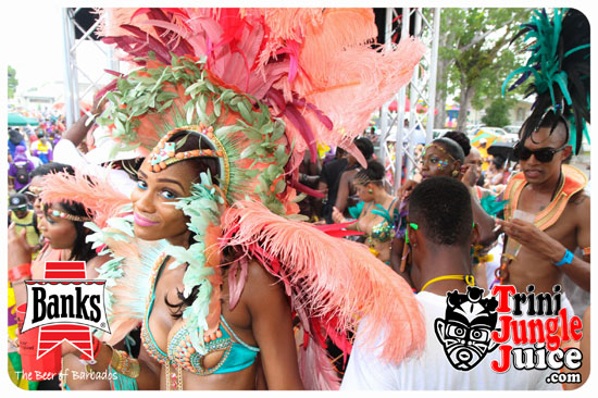 kadooment_day_2014_pt1-256
