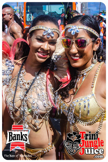 kadooment_day_2014_pt3-261