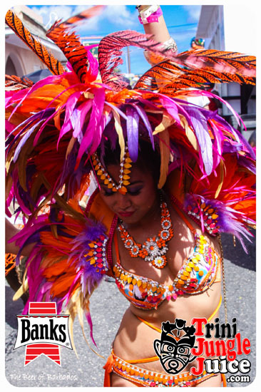 kadooment_day_2014_pt3-263