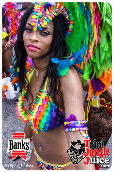 kadooment_day_2014_pt3-269