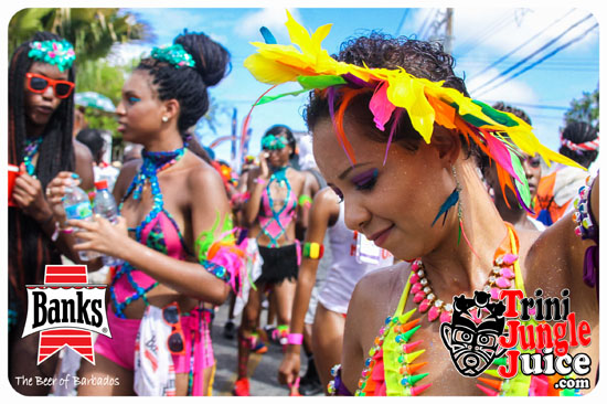 kadooment_day_2014_pt3-270