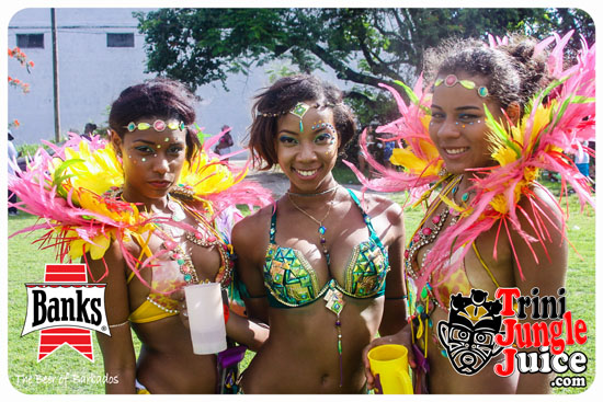 kadooment_day_2014_pt3-278