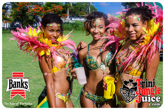 kadooment_day_2014_pt3-279