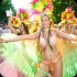 berlin_carnival_parade_2014_pt1-102