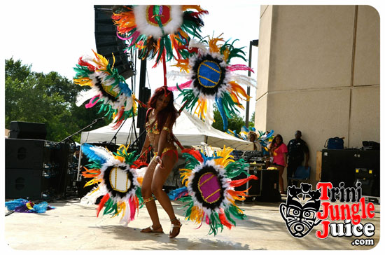 hcf_parade_2014-143
