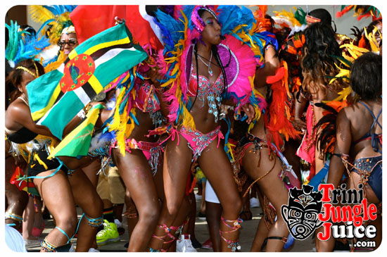 hcf_parade_2014-144