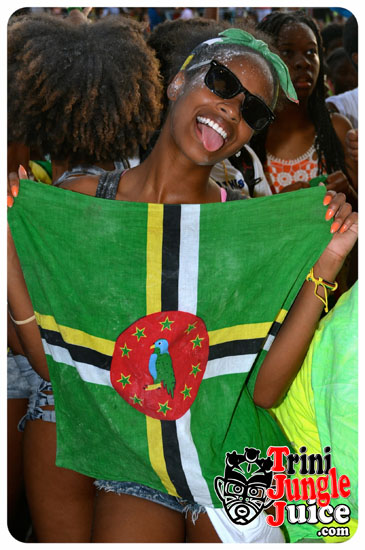 hcf_parade_2014-231