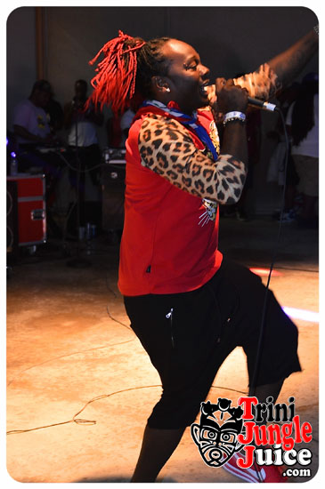 hcf_parade_2014-271