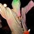 jouvert_summer_edition_2014_pt2-100
