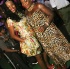 beautiful_carnival_2014-167