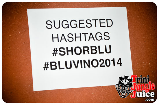 bluvino_2014-131