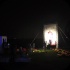 sugarcane_blossom_2014-189