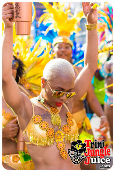 vincy_mas_tuesday_2014-204