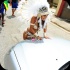 tribe_carnival_tuesday_2014_pt3-236