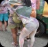 abir_mas_aug24_pt2-101